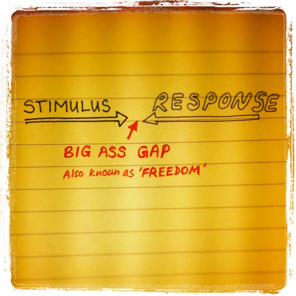 stimulus-response
